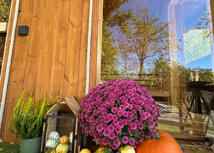 Zebikucko Vendeghaz 펜션 *